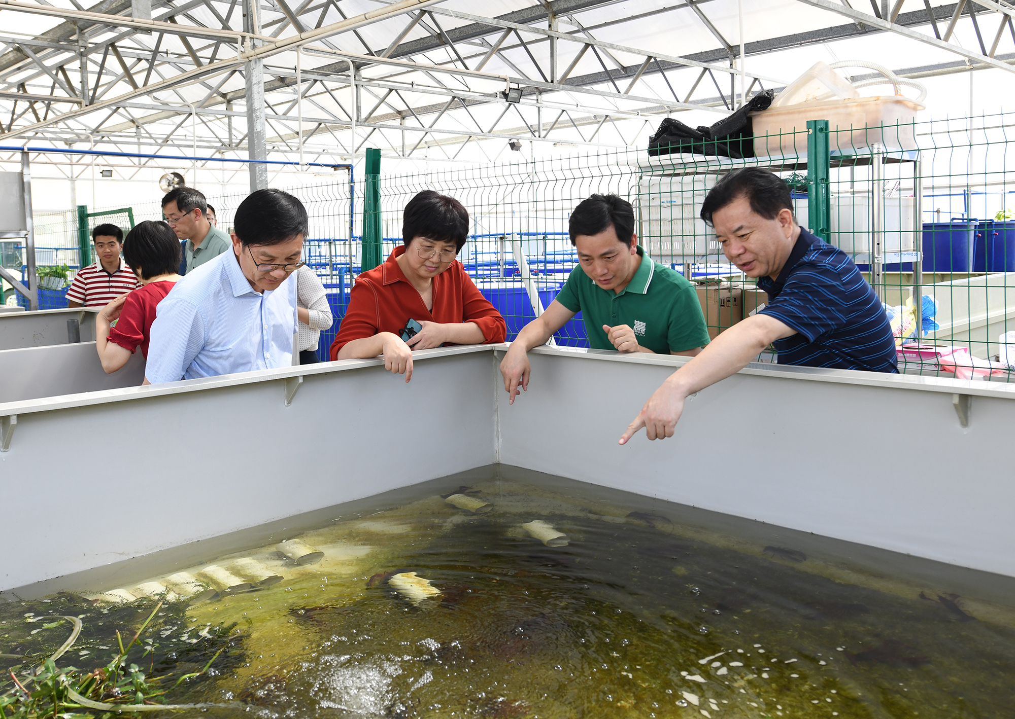 王玲一行调研十大正规赌官方网站教学科研基地，查看小龙虾养殖情况（记者 刘涛 摄）